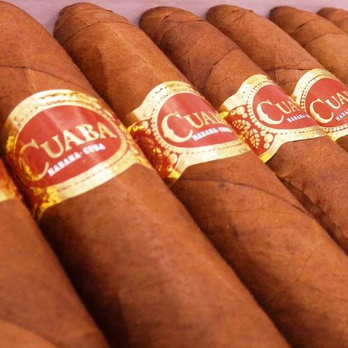 Cuaba Salomones Cigar - Box of 10